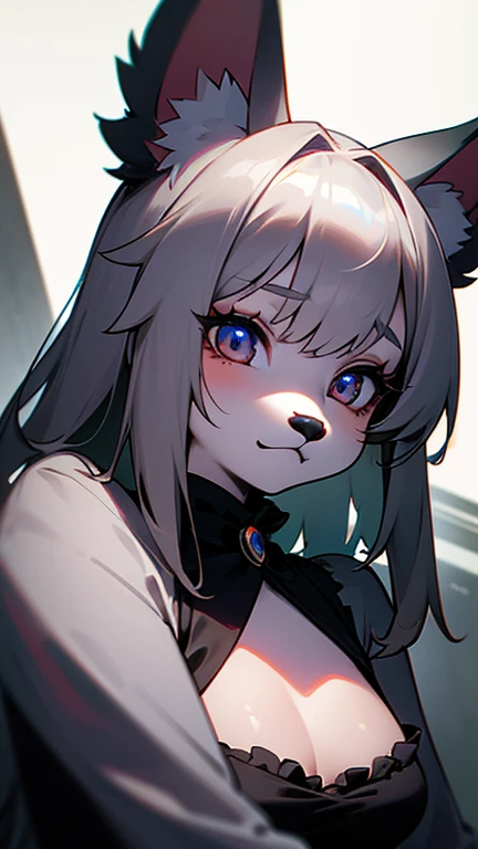 masterpiece,insanely detailed, absurdres, 16K, a girls, kemono, furry face,luminous eyes, with sparkling eyes,  narrow eyes,silver eyes, (dog_girl, anthro furry:1.0),(anthro_female_dog:1.0), fluffy fur, hairy body, flat chest,squatting,white background,upp...