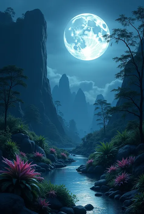 A dark night where moon and back rock and A garden 