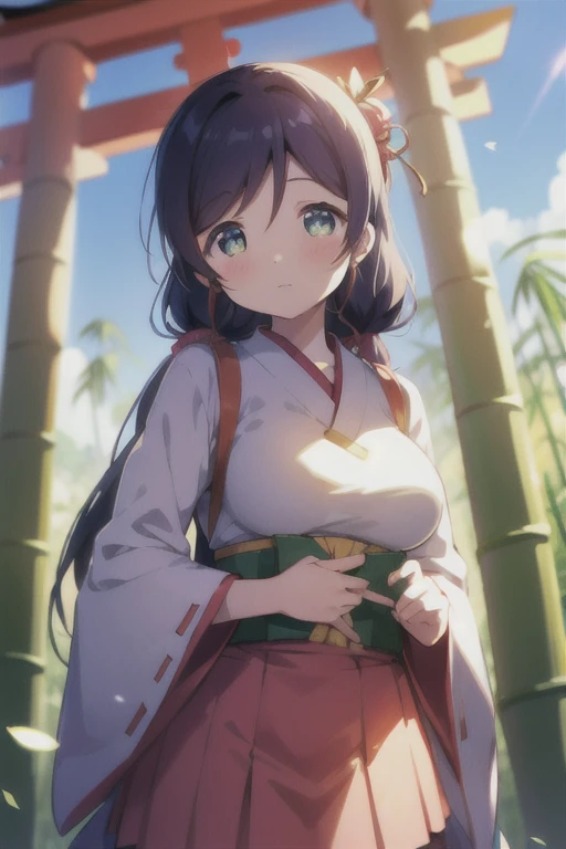 One Girl, alone，Anime screenshots，Ray Tracing，Global Illumination，ultra hi resolution picture，Bright colors，Lens flare，Glowing Eyes，Written boundary depth，Detailed Background，cute，Looking into the camera，shrine，torii，Bamboo basket，Nozomi Tojo，Big Breasts，M...