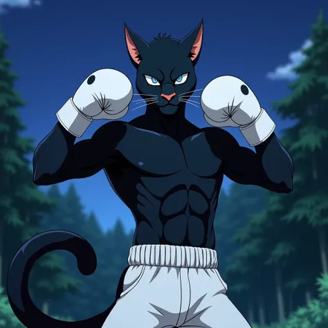 anime style harmless traits, an Man panther Black, eyes with pupils, black fur, animal ears, black nose, body hair, teenage body, face, eyes normal, full body fur, furry long tail, tail, boxing shorts, gloves and shorts white, showing gloves, raised gloves...