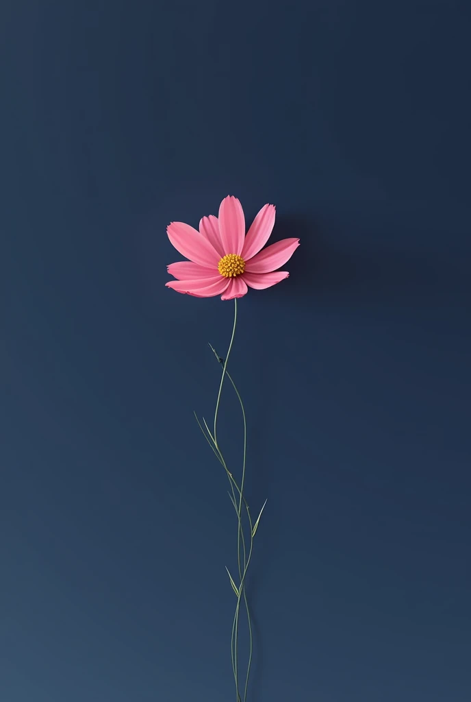 Simple flat pink Cosmos flower painting without fades on ceiling with dark blue background 