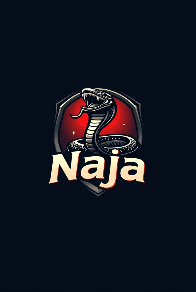 Create a logo for a football team with the name Naja FC