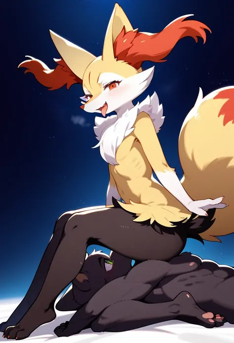 braixen, black fur on legs, black legs, tuft of yellow fur on hips, tuft of white fur on neck, long fluffy tail, Highest quality, High quality illustrations, masterpiece, Ultra-high resolution, Detailed Background, night, Absurd, Perfect Anatomy, Good ligh...