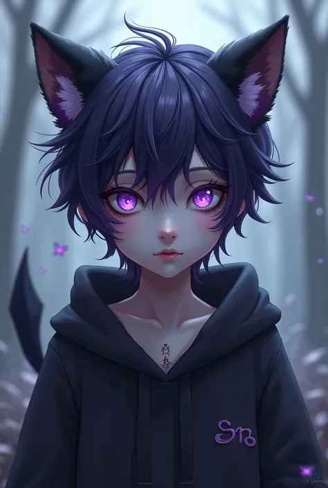 A boy with mud purple hair saft clothes and has black wolf ears and a demon Tail,he has pale skin and mud purple eyes with star shaped pupils and black mark around his left eye and wears a oversized hoodie