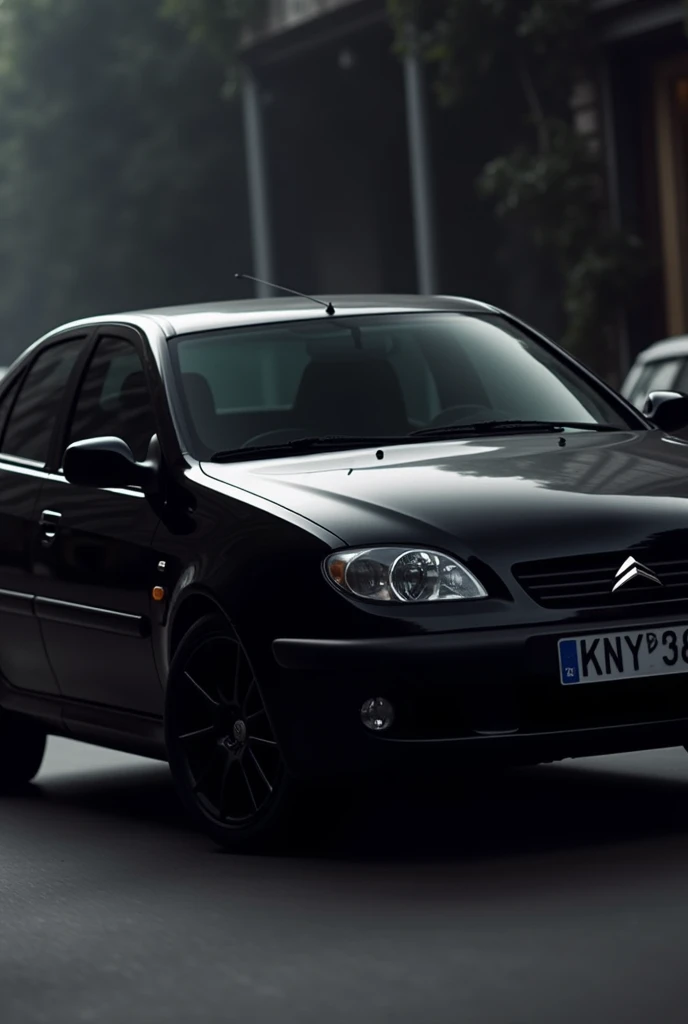 citroen xsara 2003 black 
