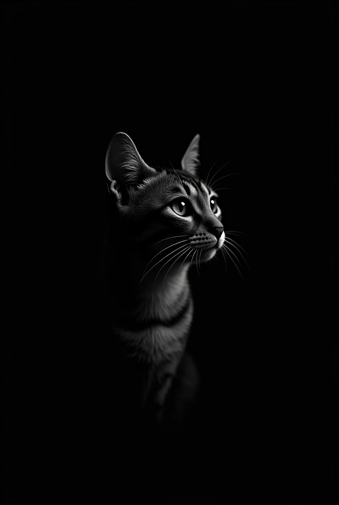 A single cat sitting in the left half of the frame, occupying half of the image. The cat is partially visible, with the face and upper body shown, while the bottom part dissolves into the darkness of the black background. The cat is highlighted to highligh...