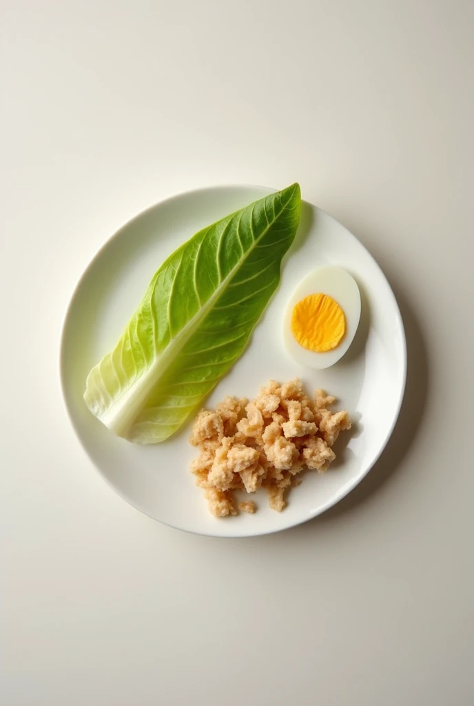 A photo in size 9:16, of a plate that has a lettuce leaf and a small piece of chicken and boiled egg