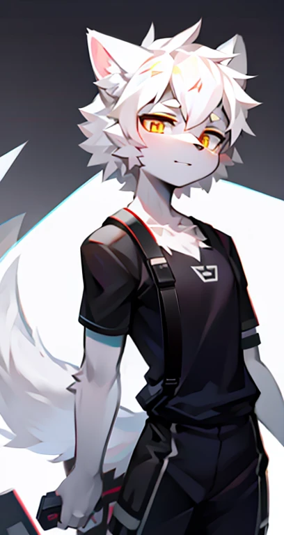 cyber punk perssonage，epcot，Tech style，solo person，White body，White ears，White hair，Overall white，Orange-yellow eyes，Wolf tail，Wolf orcs，Young，Wear a short-sleeved shirt，Ultra-clear screen，Soft lines