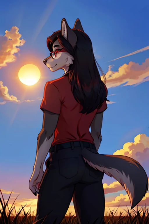 A dark-colored she-wolf, furry, red eyes, glasses, ears towards back, dark red shirt, black pants, background in the field, blue sky with clouds, sun sunset 