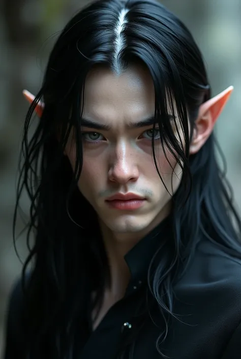 A half-elf adult man, with medium/long black hair and a LARGE WHITE STROKE, of dark gray eyes, pale skin and no beard 