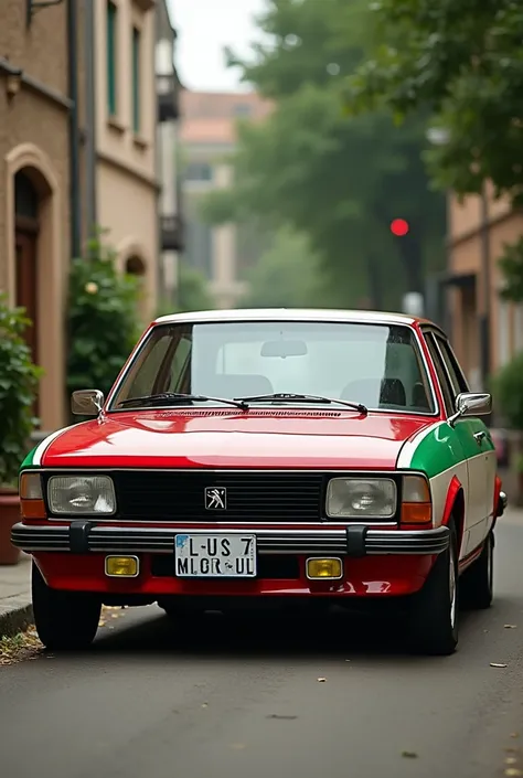 Peugeot 505 1982 Painted red white and green