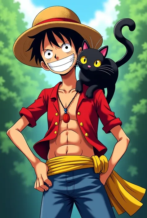 Luffy with a black cat on his shoulder