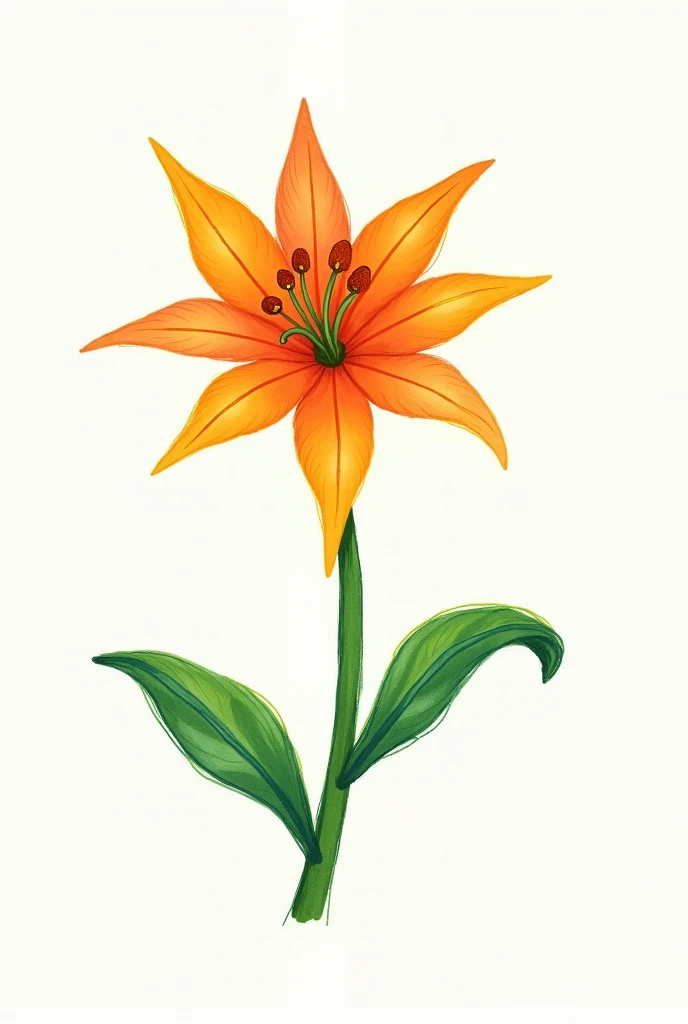 Lily flower drawing that looks like a chid has drawed it 