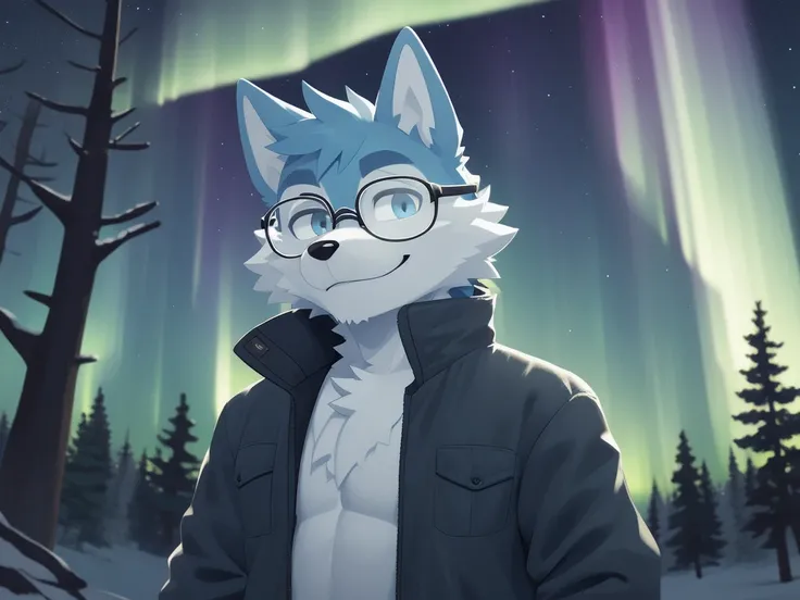 ((best quality)), ((masterpiece)), (detailed), perfect face 1 adult male light blue anthro Wolf with light blue fur wearing jacket and rectangle clear lens eyeglasses relaxing at the forest all by himself, aurora sky at night, looking at camera, happy face...