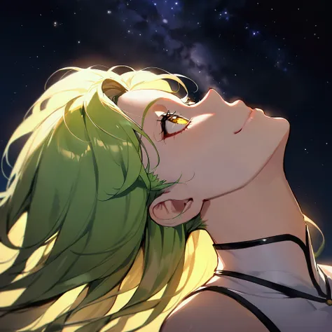   ,anime woman , c.c.  long lime,yellow eyes , I smile, Simple background, Great job, precise, Anatomy is correct, Best quality,   side face  ,   Looking up at the sky, stars at night 