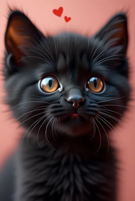 Close-up of a cute black kitten、Hearts in your eyes