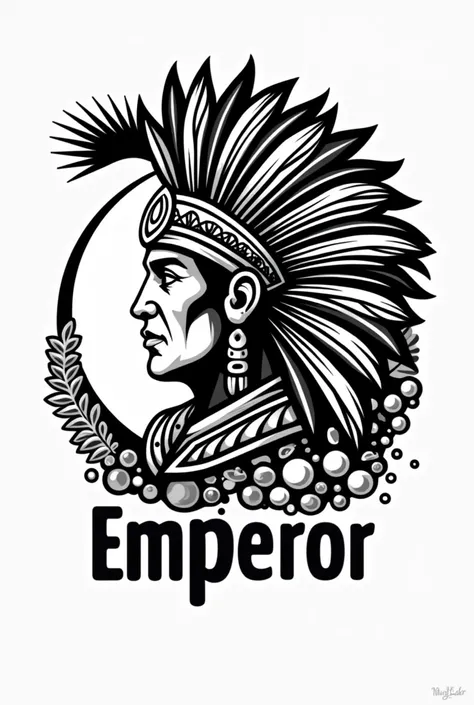 Cleaning products logo with the profile of an Inca warrior with the name Emperor Put the name EMPEROR Put black and white colors Add a large broom bubbles, soaps and detergents