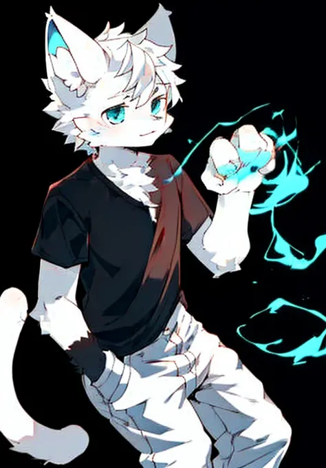 White male cat，Handsome，White hair，Blue Eyes，White pants，Black shirt，Left hand red magic，Right Hand Blue Magic