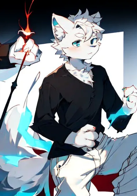 White male cat，Handsome，White hair，Blue Eyes，White pants，Black shirt，Left hand red magic，Right Hand Blue Magic