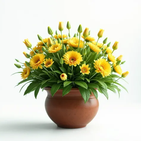 Bright, green and yellow flowers in a brown pot, on a white background.8K textures,high detail