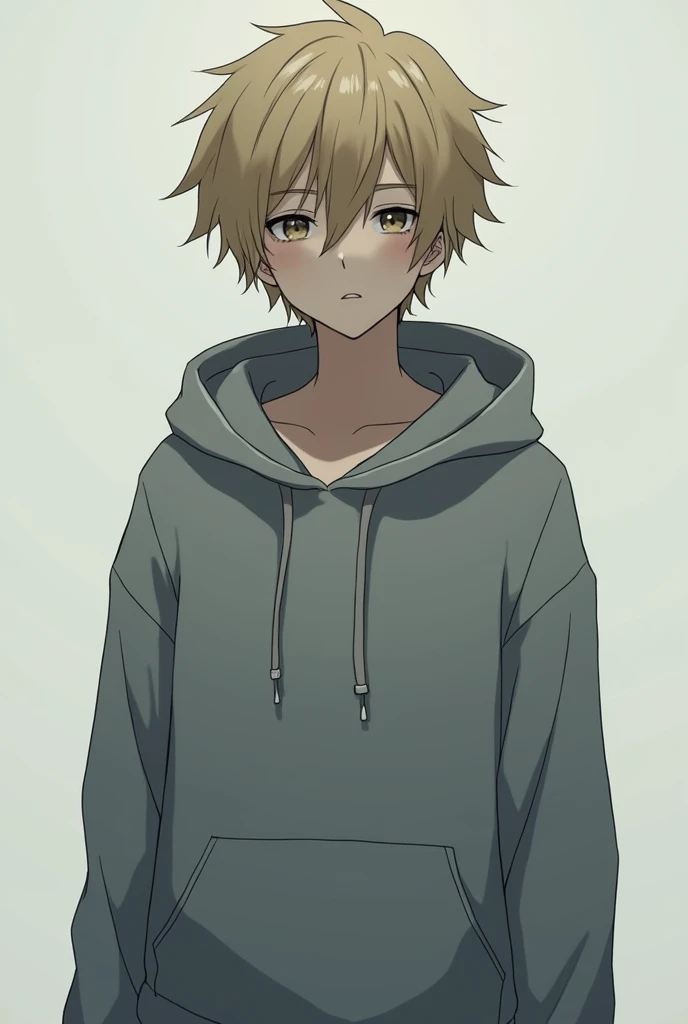 
anime boy:
Mysterious and cold age: around 2.

for the: rubio, straight slightly messy.

Clothes: He wears a small grey sweatshirt. The sweatshirt is plain and has a hood and he has the hood up. 