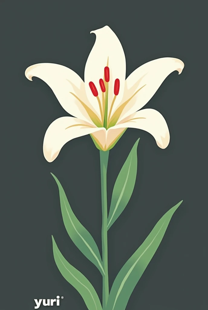 The background is dark grey。Pop illustration of a white lily flower、Green stems and leaves２There are pieces、The pollen of the flower is cherry red。Under the lilies「Yuri」