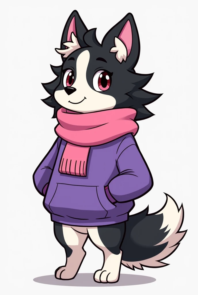 Make me a furry of the race" border collie" their hair is black and white, and he wears a purple sweatshirt,and pink scarf. In Cartoon style, and make him an adult, and with a horse&#39;s tail, and lots of hair on the neck 
