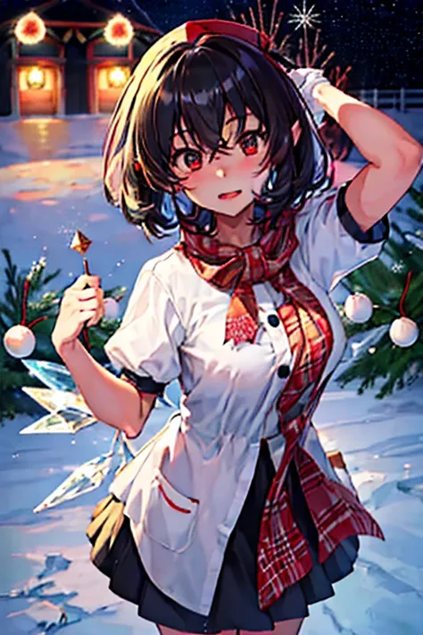 Cirno and Aya Shameimaruがクリスマスパーティーをしています　White Christmas　quiet night lake　Powdery snow falls　Christmas tree　Christmas Cake　illumination　Meteor Shower　大きなChristmas Cake　A lively Christmas party　My breasts are small　Cirno and Aya Shameimaru