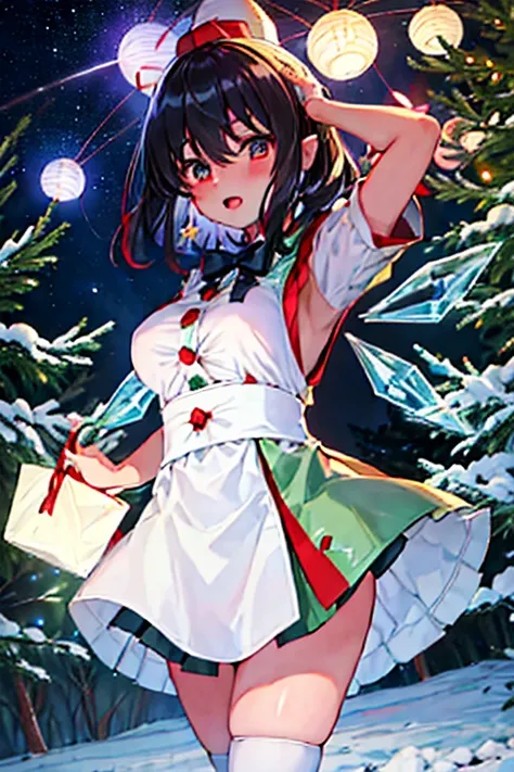 Cirno and Aya Shameimaruがクリスマスパーティーをしています　White Christmas　quiet night lake　Powdery snow falls　Christmas tree　Christmas Cake　illumination　Meteor Shower　大きなChristmas Cake　A lively Christmas party　My breasts are small　Cirno and Aya Shameimaru