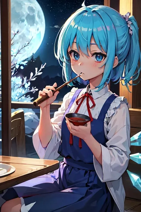 Cirno is drinking sake while watching the moon on the night of the full moon.　Moonlit Fifteenth Night　Drinking party　Lots of dishes　Lavish cuisine　illumination　Meteor Shower　Cirno eating food　Clothes are default