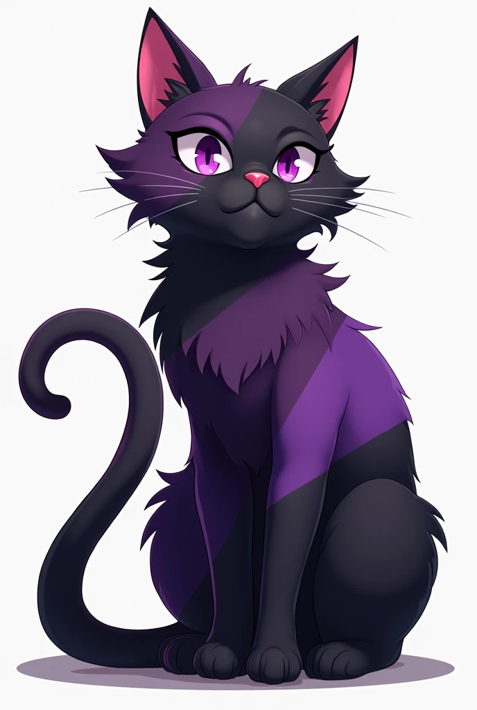 Cat with asexual flag colors 