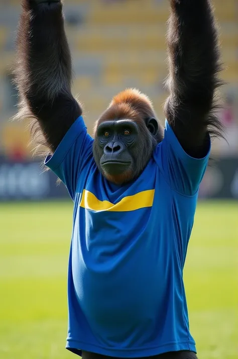 Gorilla with arms up on a soccer field wearing a blue shirt with a yellow horizontal stripe 