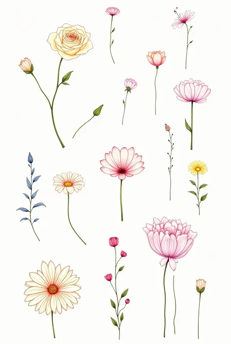 color々Line drawings of various kinds of flowers