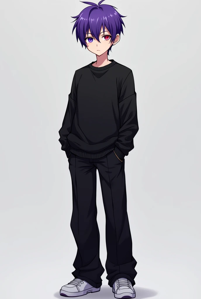 I am a tall thin teenage boy, with villainous short purple hair, and heterochromia of the eyes, my right eye is purple, and my left eye is half blue half red, and I also wear a black sweater and black wide pants, with white shoes, anime style, 16K, Best qu...