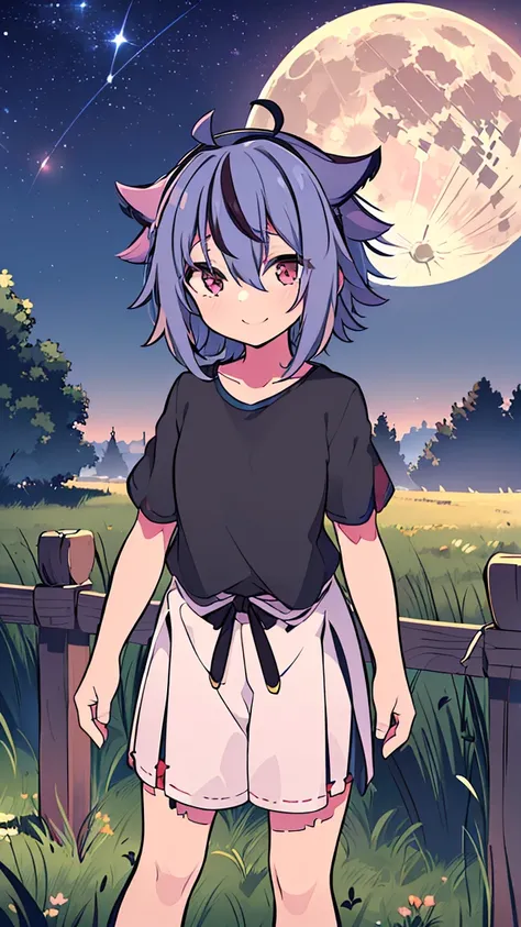 masterpiece, Best Quality, High resolution, Very detailed,(((Mikoto Naruhana))), (((Standing at a distance))), (((full moon))), (((nature))), (((night))), (((Black T-shirt))), (((grassland))), (((fence))), (((Home))), (((Starry Sky))), (((smile))), (((Mult...