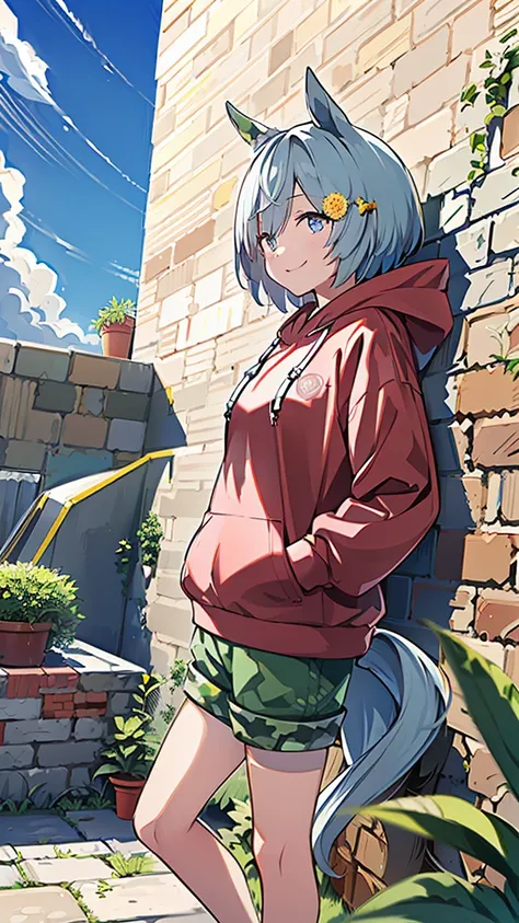 masterpiece, Best Quality, High resolution, Very detailed,(((Seiun Sky))), (((Horse Girl))), (((Standing at a distance))), (((Streetscape))), (((nature))), (((Brick wall))), (((Red hoodie))), (((Shorts))), (((Plants))), (((blue sky))), (((smile)))