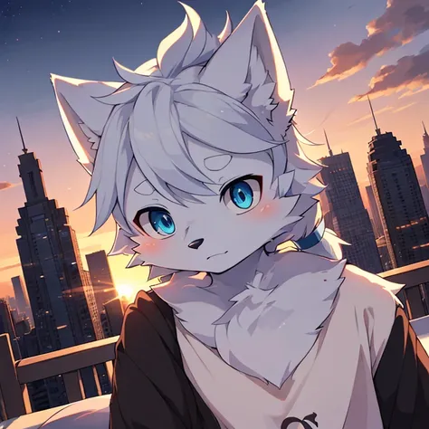 ((Best image quality))，masterpiece，The only person，Very detailed，(Male Arctic fox:1.5), (White skin:1.3), hairy，((Blue pupils))，(White fur:1.3) ,(blue ears),(hairy 动物 耳朵s)，t-shirt，((Ha ha))，Delicate face，Detailed clothes，（（Full body close-up）），Character Cl...