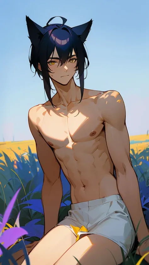 Man with blue-black hair, defined body, effeminate face, deep light yellow eyes, shirtless, sitting in a field on a sunny afternoon, he is admiring the blue sky with purple gradient.cat ears, shine, 