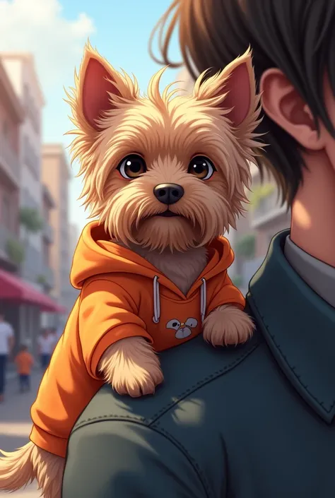 Anime, Yorkshire Terrier, Wear a cool hoodie ,Holding on someones shoulder