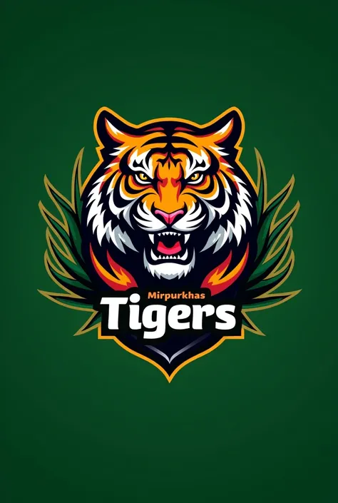 Ground 
Mirpurkhas Tiger logo 
Teams Box Name 
and background green 