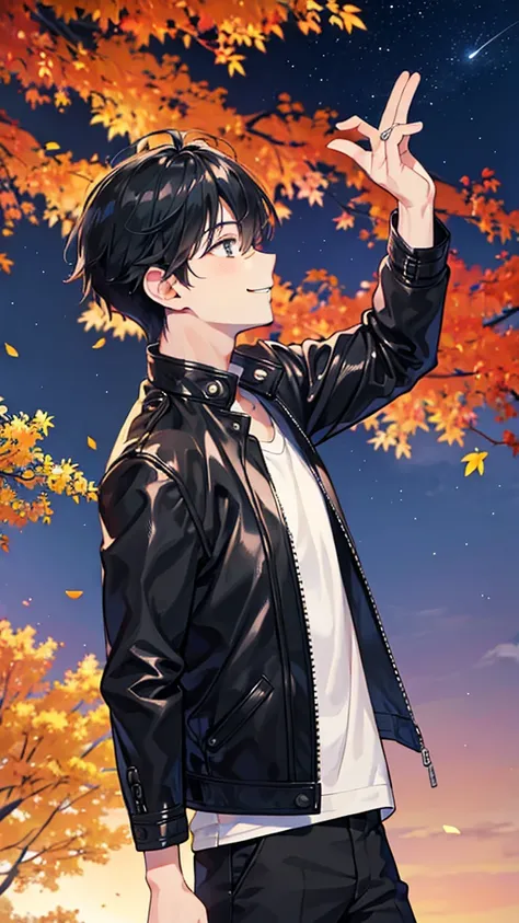 Best Quality、Young man looking up at the night sky、smile、[profile、Autumn scenery、Black leather jacket、Black Hair、1 male