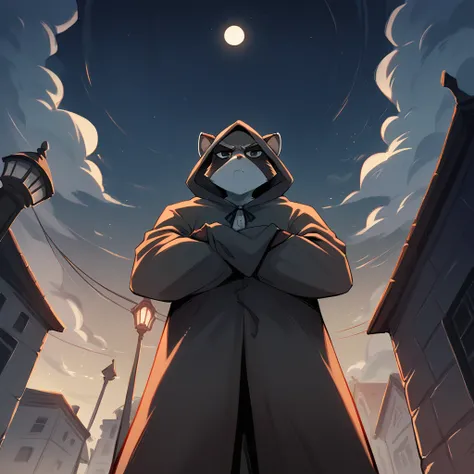 A black and white raccoon with an open hooded cloak and underwear, serious gaze, with arms crossed, night low lighting, clouds, Buildings, streetlight, low angle shot.