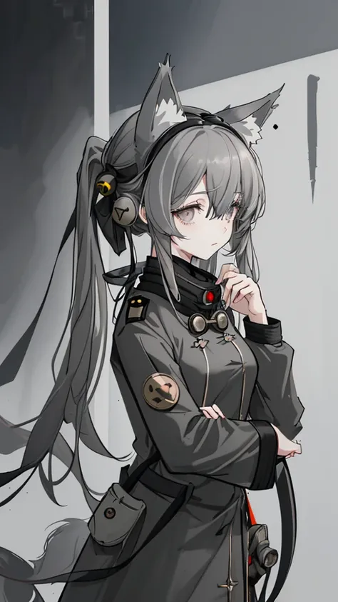 tension，gray long hair，Dark Eyes，gray military uniform，animal ears, bell，Half a penny，High resolution, goggles, 