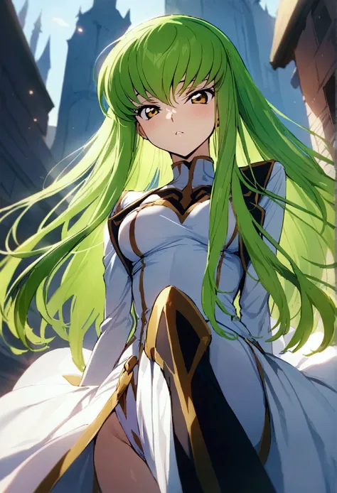 Best Quality,masterpiece,aesthetic,very aesthetic,One girl, c.c., code geass,