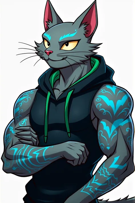 The picture is of a rich gray male cat like humanoid wearing a They also have numerous tattoos electric blue colour on their face, ears, and arms. They are wearing a black and green hoodie with .The male cat is looking off to the right side of the image. T...