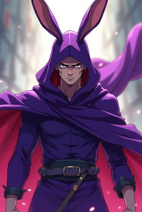 Generate me a purple-cloaked hero, My Hero Academia style, who has rabbit ears and is a man with fair skin and wounded with the gift of stealing
