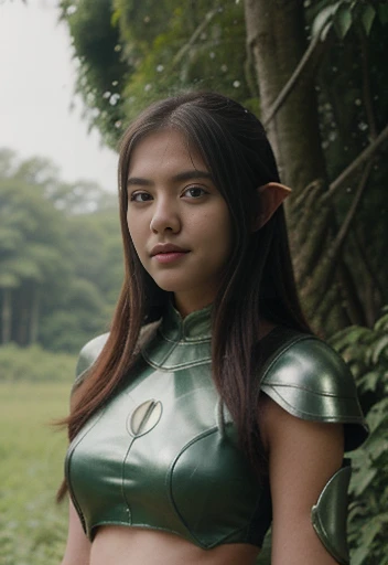 Cute elf Girl, nineteen years old, nice body, cute indonesian face, brown skin, innocent, happy, sharp eyes focus, , armor, at the fortrees, green hair