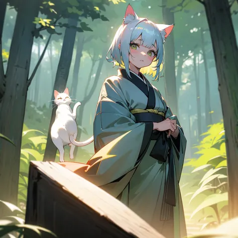 Cat ear girl、、Platinum-coloured hair、Wearing a kimono、Big bright eyes、In the bright sunlight、Forest Background