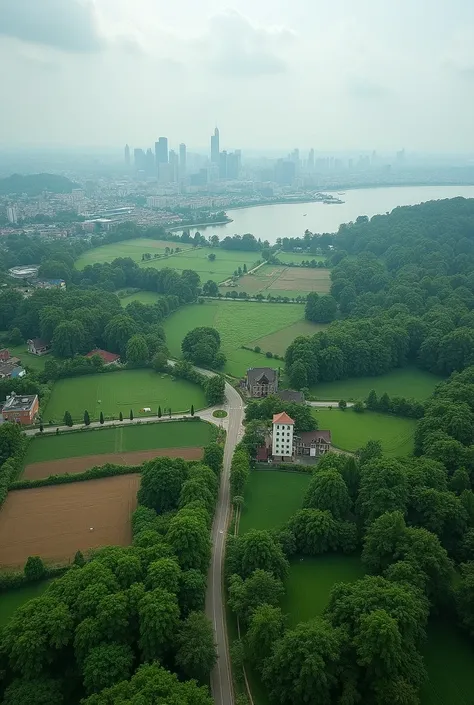 aerial view, dense forest, urban area, lake, rural landscape, green fields, roads, buildings, natural scenery, summer season, overcast sky, patchwork of fields, contrasting textures, top-down angle, deep depth of field, well-balanced exposure, intricate de...