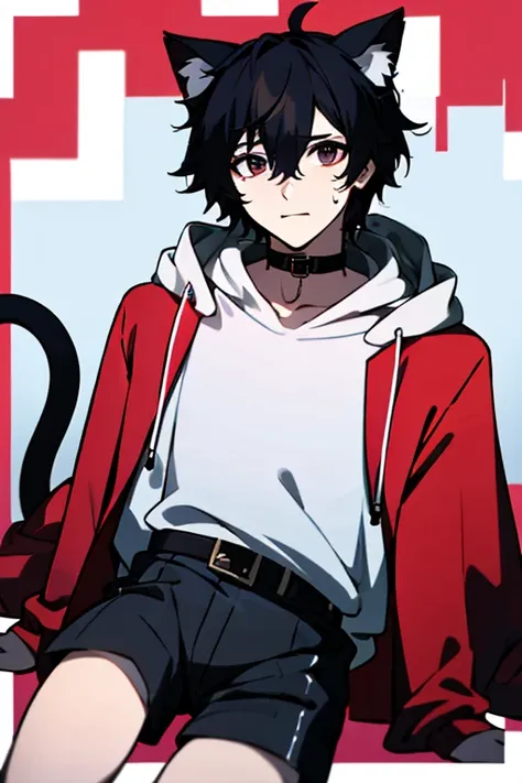 (masterpiece、highest quality)、one、it has cat ears and a cat tail、pets、black hoodie、black hair、white shorts、dark eyes、1、red colla...